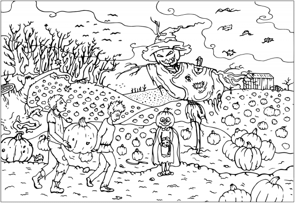 Halloween Scarecrow Jack-O’-Lantern on a Pumpkin Field coloring page image