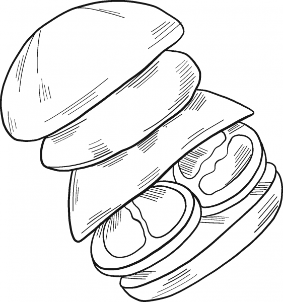 Hamburger coloring page image