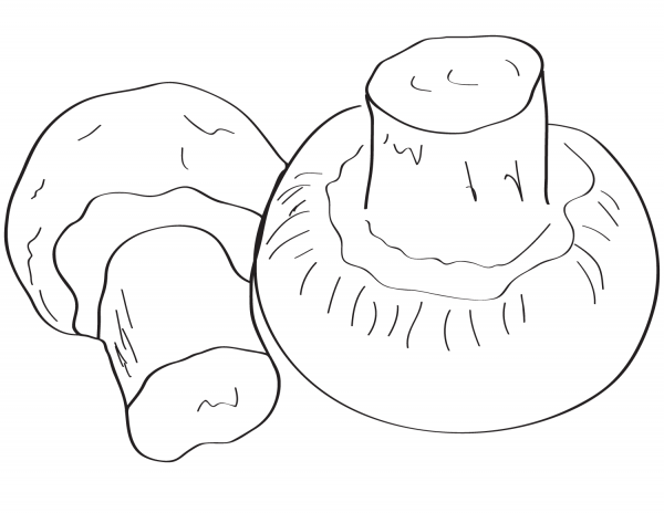 Ð¡hampignon coloring page image