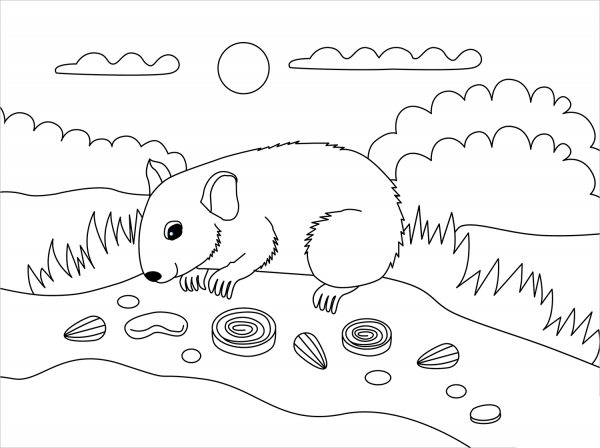 Hamster coloring page image