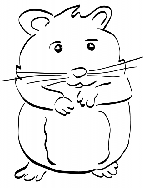 Hamster coloring page image