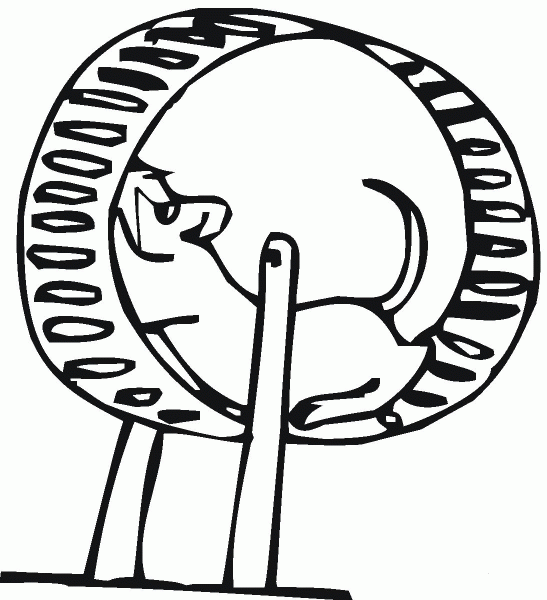 Hamster Plays Its Toy coloring page image