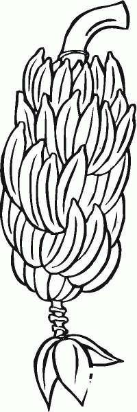 Hand of Bananas on a Branch coloring page image
