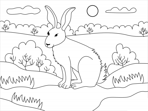 Hare coloring page image