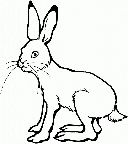 Hare coloring page image