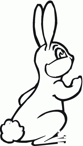 Hare coloring page image
