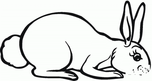 Hare coloring page image