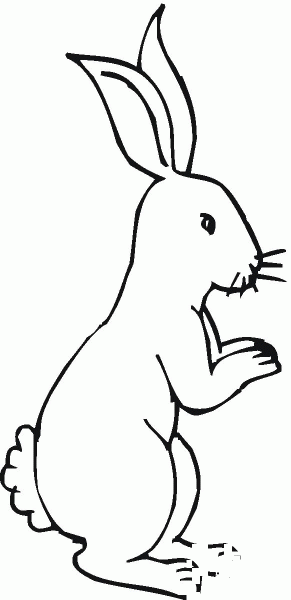Hare coloring page image