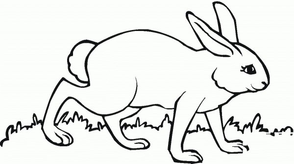 Hare Walks On coloring page image