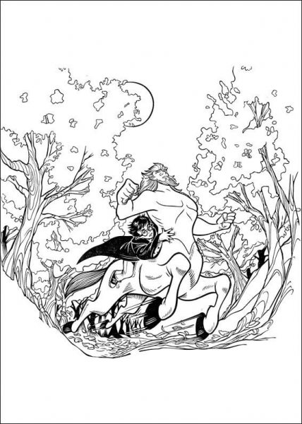 Harry Potter And The Centaur  coloring page image