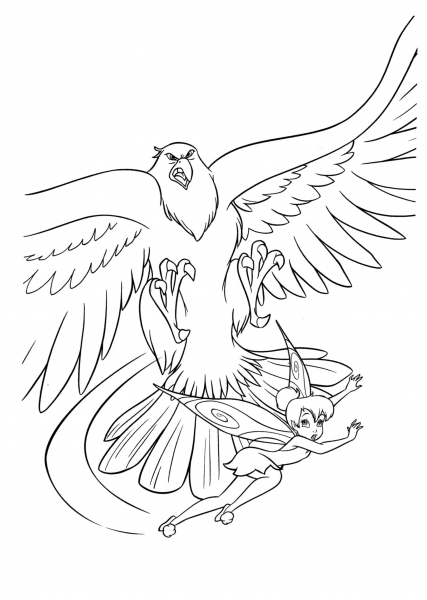 Hawk and fairy coloring page image