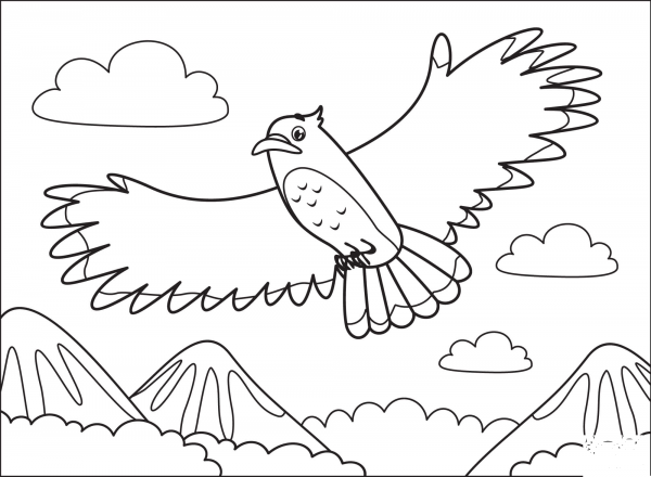Hawk coloring page image