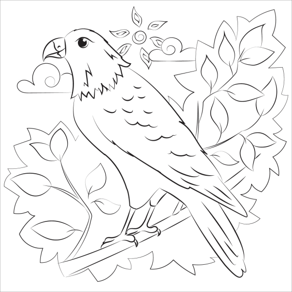 Hawk coloring page image