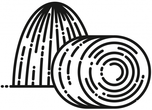 Hay coloring page image