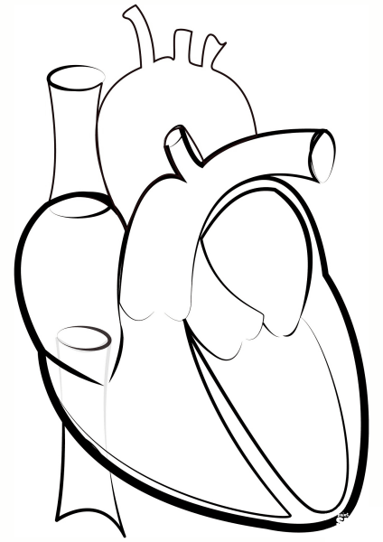Heart Outline coloring page image
