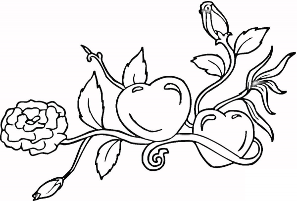Hearts and Roses coloring page image