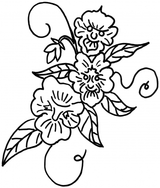 Heartsease Viola Tricolor Flower  coloring page image