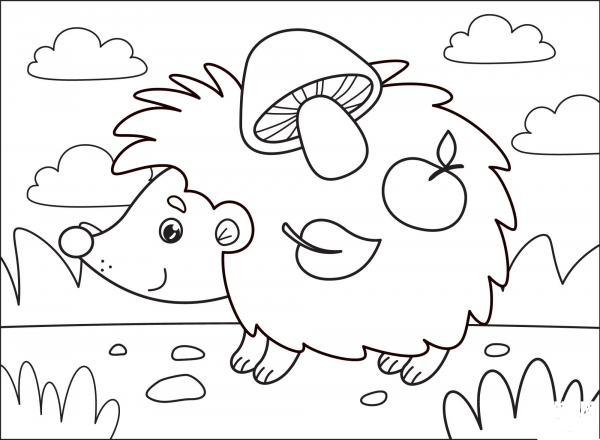 Hedgehog coloring page image