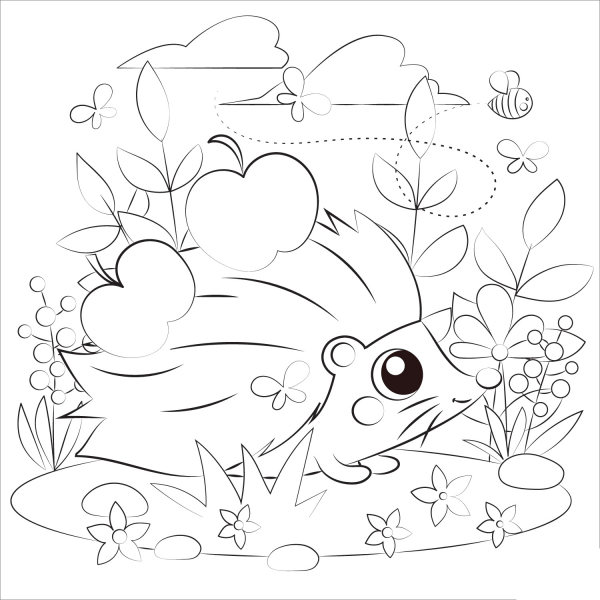 Hedgehog coloring page image