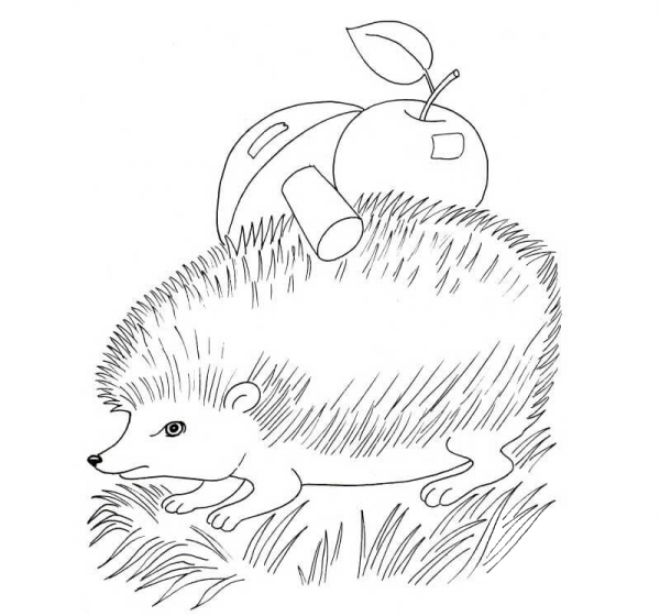 Hedgehog with Apple and Mushroom coloring page image
