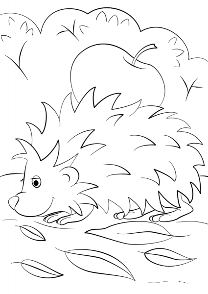 Hedgehog with Apple coloring page image
