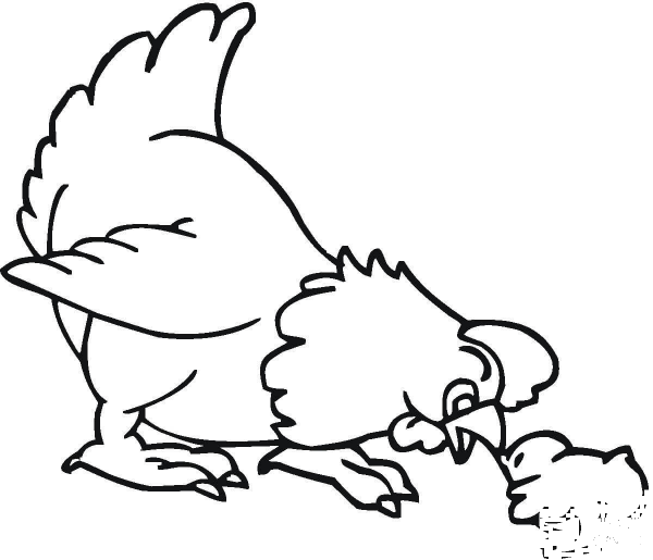 Hen and Chick coloring page image