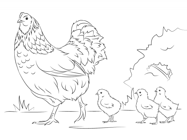 Hen and Cute Chicks coloring page image