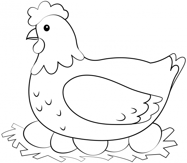 Hen coloring page image