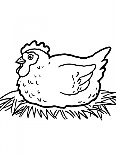 Hen on Nest coloring page image