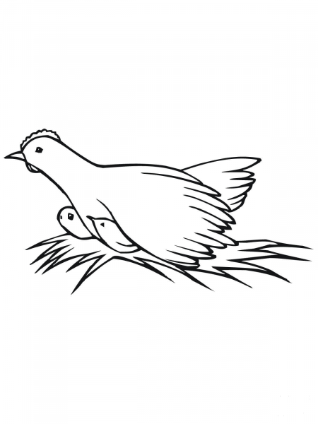 Hen on Nest with Chicks coloring page image