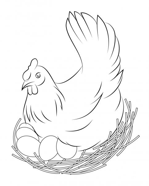 Hen Sits on Eggs coloring page image
