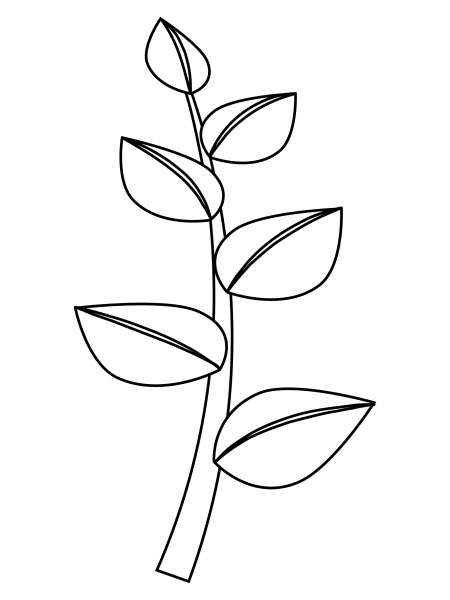 Herb coloring page image