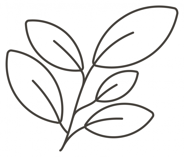 Herb coloring page image