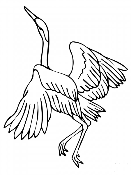 Heron Dance coloring page image