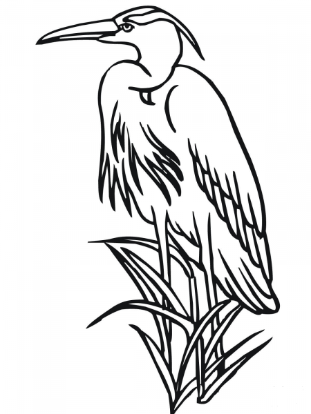 Heron in a Reed coloring page image