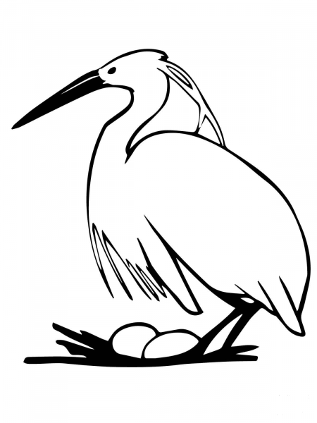Heron Laying Egg coloring page image