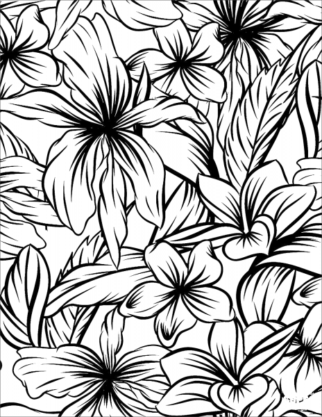 Hibiscus coloring page image