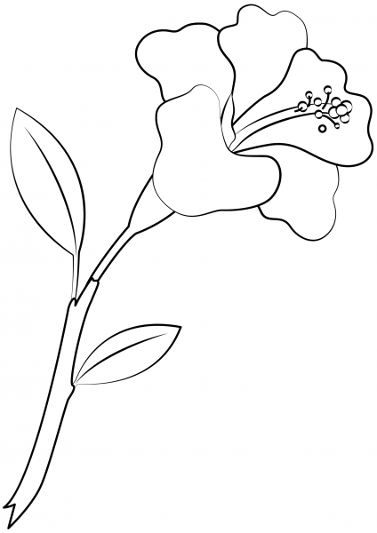 Hibiscus Flower coloring page image