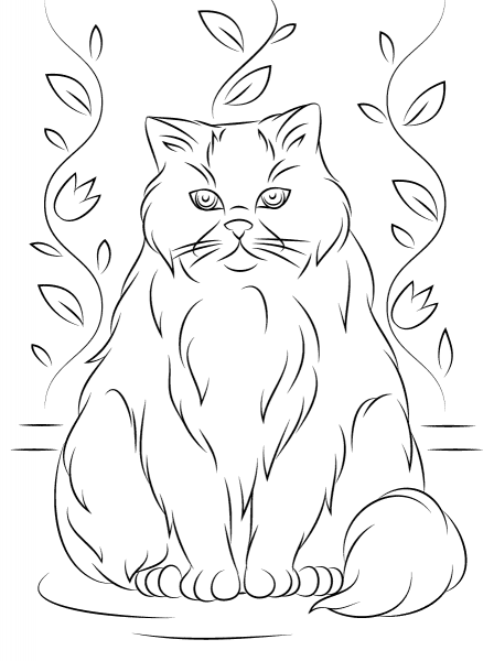 Himalayan Cat coloring page image