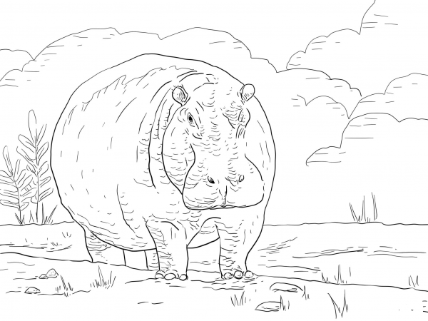 Hippo at Dawn coloring page image