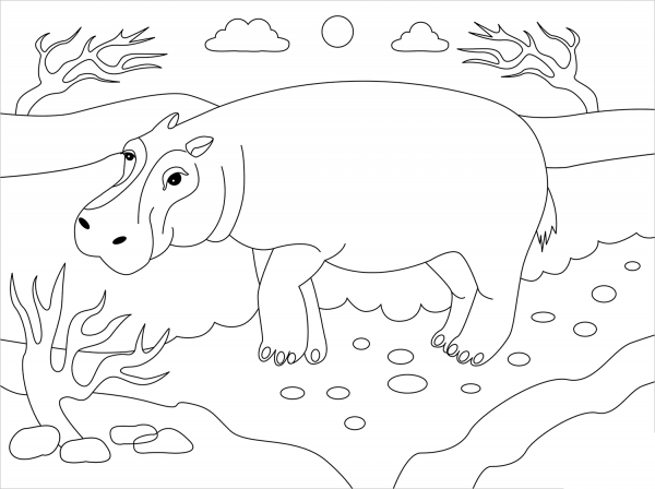 Hippo coloring page image