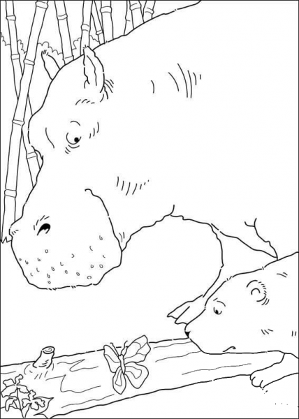 Hippo, Little Polar Bear And Butterfly  coloring page image