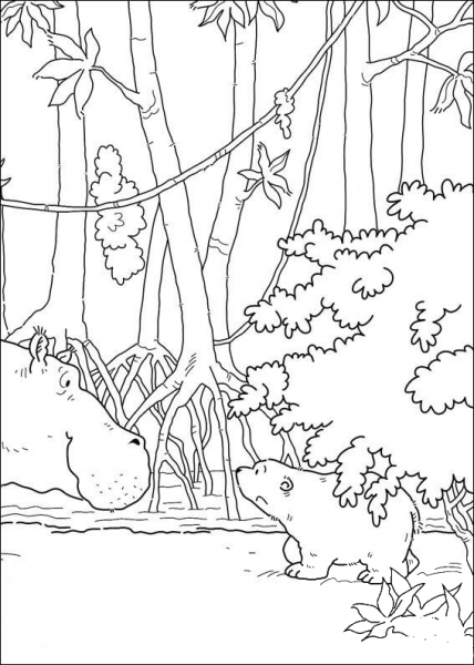 Hippo Meets Little Polar Bear  coloring page image