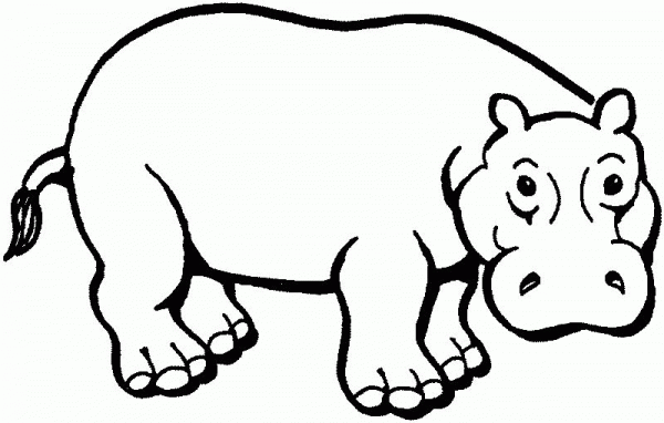 Hippopotamus coloring page image