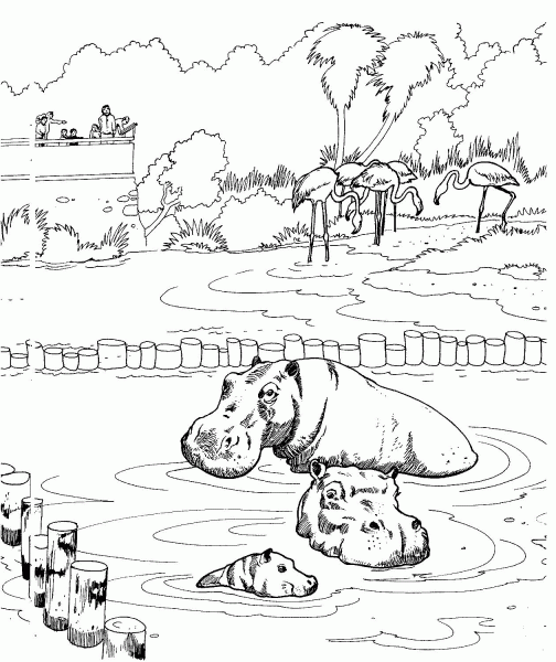 Hippopotamus in a Zoo Pond coloring page image