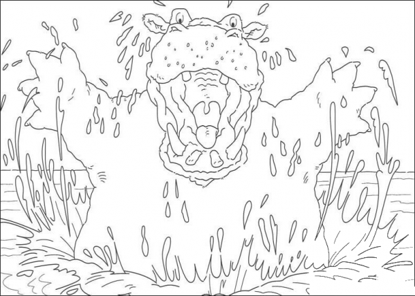 Hippopotamus in the water  coloring page image