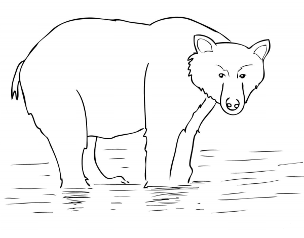 Alaska Brown Bear coloring page image