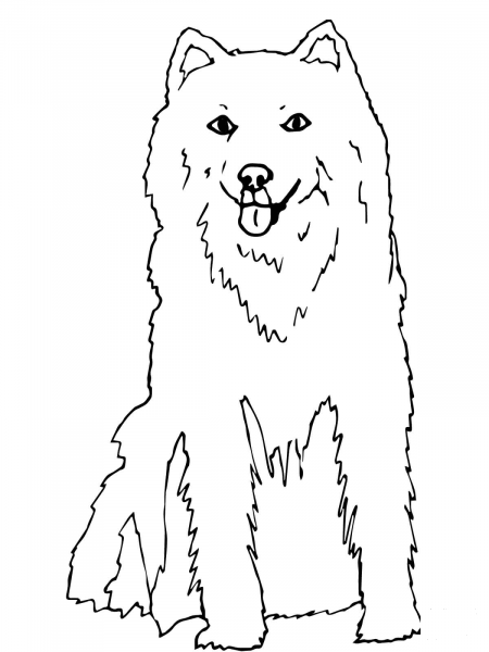 Alaskan Husky coloring page image