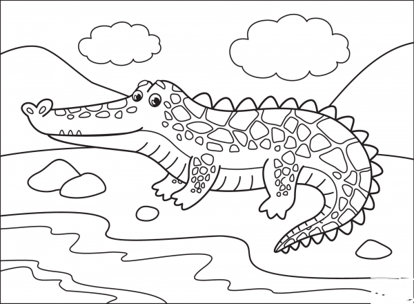 Alligator coloring page image