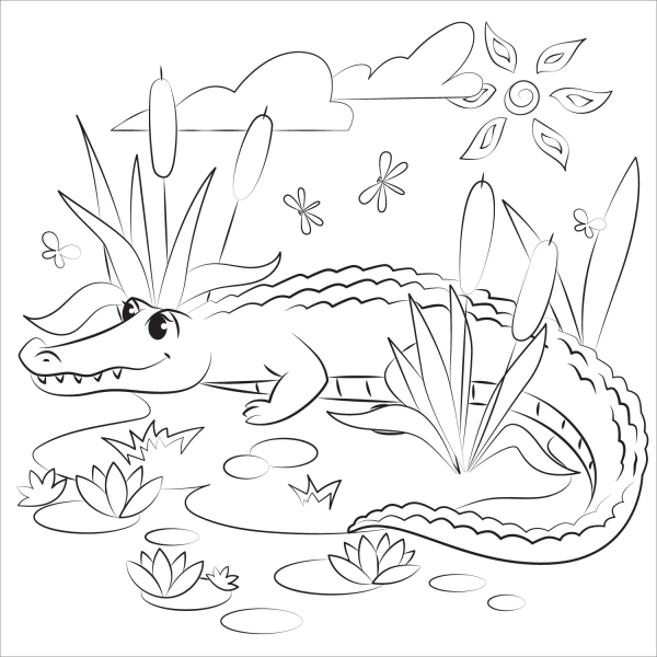 Alligator coloring page image